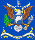 169th Aviation Battalion Colors 