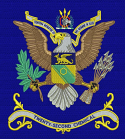 22nd Chemical Battalion Colors