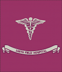 348th Field Hospital Colors