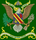 372nd Military Police Battalion Color